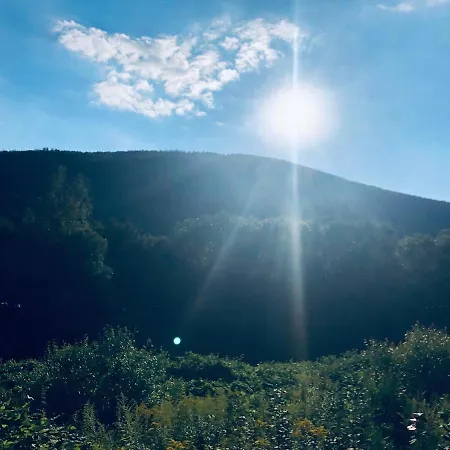 Riverside & Mountain View Lejlighed Ustroń