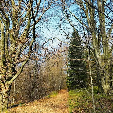 Riverside & Mountain View Ustroń