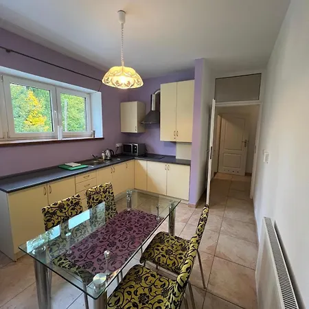 Riverside & Mountain View Lejlighed Ustroń