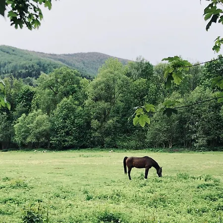 Riverside & Mountain View Lejlighed