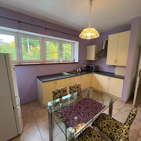 Riverside & Mountain View Ustroń