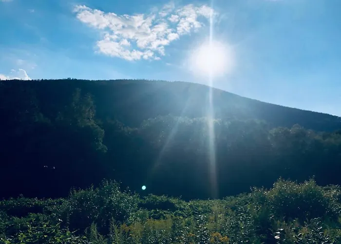 Riverside & Mountain View דירה אוסטראון