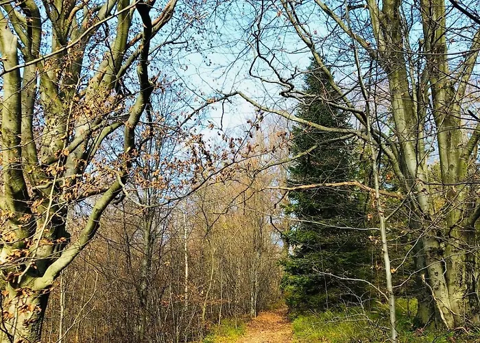 Riverside & Mountain View אוסטראון