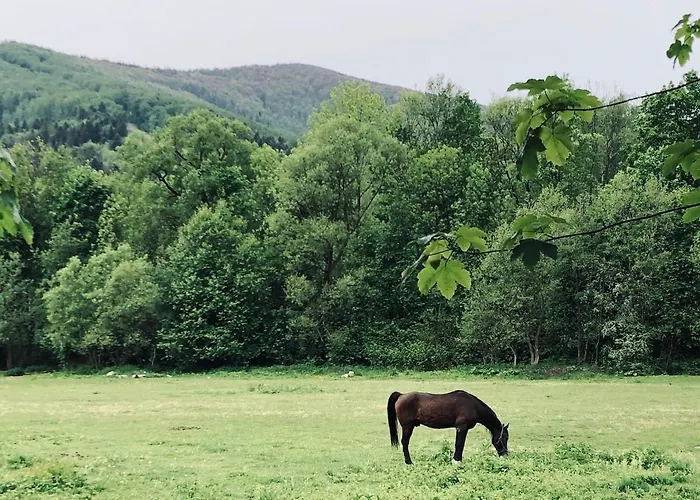 Riverside & Mountain View דירה